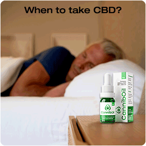 What is the best time to take CBD oil?