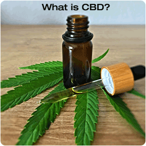 What is CBD Oil?